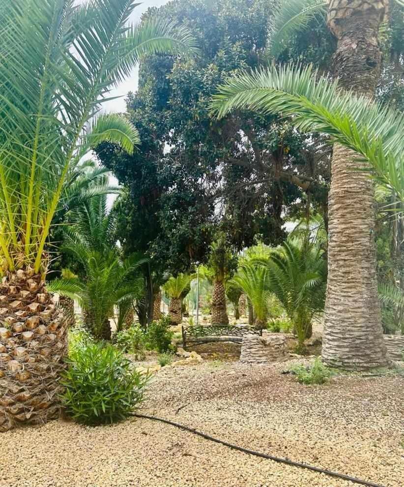 Sol Mediterraneo Palm Beach 3 Villajoyosa Luaran gambar